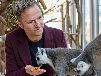 Sonderermittler Alex Haller (Philipp Hochmair) hat keine Berührungsängste bei den zu den Lemuren gehörenden Kattas im Tiergarten Schönbrunn. Der Zoo ist der älteste auf der ganzen Welt und eine der Sehenswürdigkeiten von Wien.