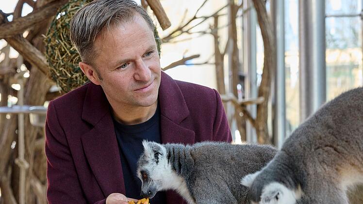 Sonderermittler Alex Haller (Philipp Hochmair) hat keine Berührungsängste bei den zu den Lemuren gehörenden Kattas im Tiergarten Schönbrunn. Der Zoo ist der älteste auf der ganzen Welt und eine der Sehenswürdigkeiten von Wien.