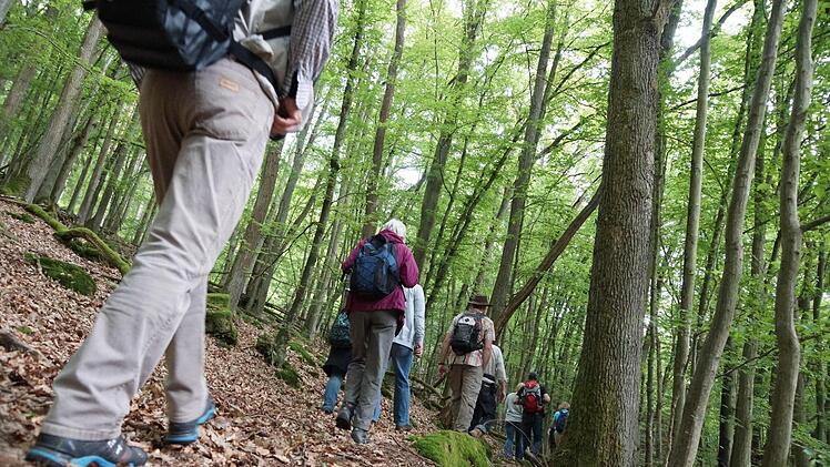 Wanderung auf der "Strecke 46"
