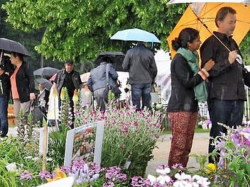 Flanieren und Schauen mit Schirm - so arrangierten sich die Besucher im Kurpark mit dem Wetter. Fotos: Gerda Völk