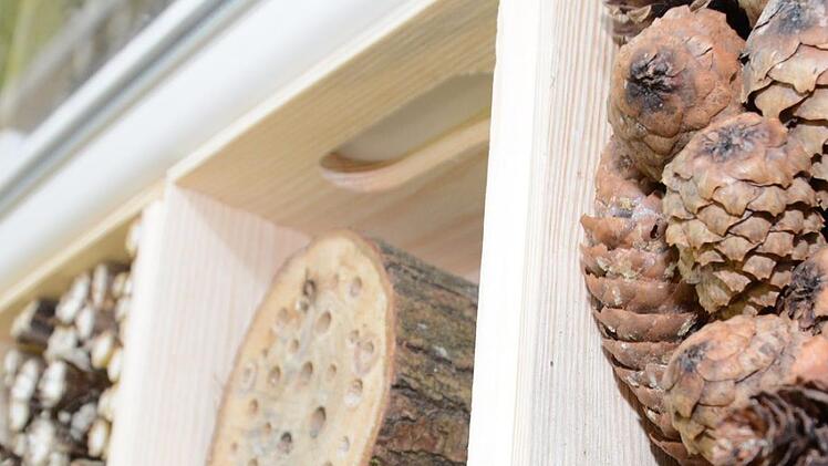 Impressionen vom Nisthilfenbau in der Melkendorfer Grundschule Dagmar Besand