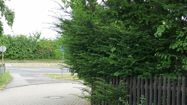 ... und Verkehrsteilnehmern die Sicht.