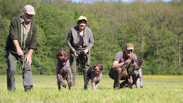 Theo geht voran, Ari und Alva warten brav im Hintergrund mit den Hundebesitzern Annette Ziegler, Norbert Marhofer, Erwin Delepine und Alexander Näck.