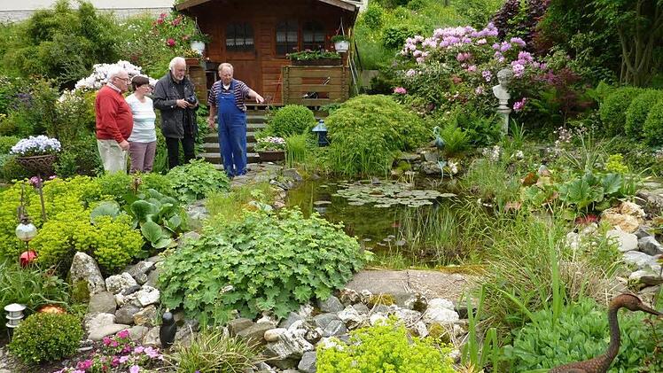 Am Sonntag, 26. Juni, steht Ludwigsstadt ganz im Zeichen des "Tags der offenen Gartentür". Der Wohngarten der Familie Erika und Frieder Apel (unser Bild) gleicht einem Gartenparadies. Mit im Bild auch Vorsitzender Peter Kratkai (links) sowie Jupp Schröder, ehemaliger Kreisfachberater aus Lichtenfels (Zweiter von rechts).  Foto: Gerd Fleischmann