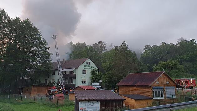 Wiederaufbau nach Brand im Tierheim M&uuml;nnerstadt