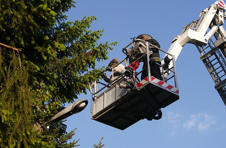 Tiereinsatz für Bamberger Feuerwehr - "Anwohner fühlten sich bedroht"