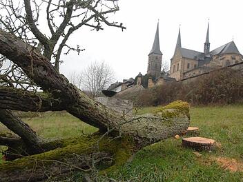 Im Dezember 2008 wurden unterhalb der Kosterkirche 84 Obstbäume gerodet. Dabei kamen auch schwere Maschinen zum Einsatz.   Fotos: Ronald Rinklef
