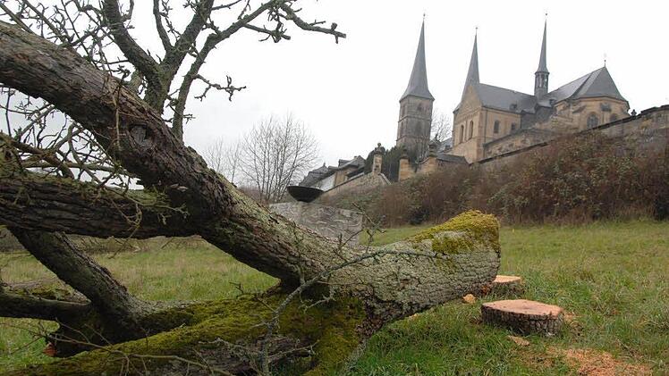 Im Dezember 2008 wurden unterhalb der Kosterkirche 84 Obstbäume gerodet. Dabei kamen auch schwere Maschinen zum Einsatz.   Fotos: Ronald Rinklef
