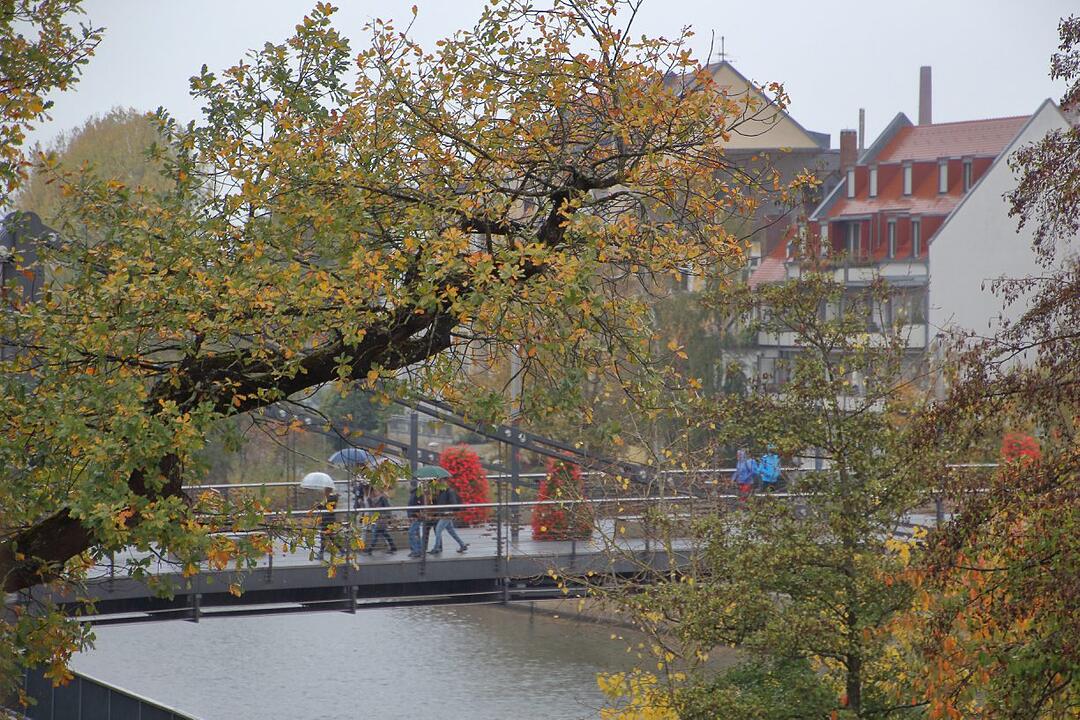 Die schönsten Fotos im Herbst aus Bamberg und Umgebung