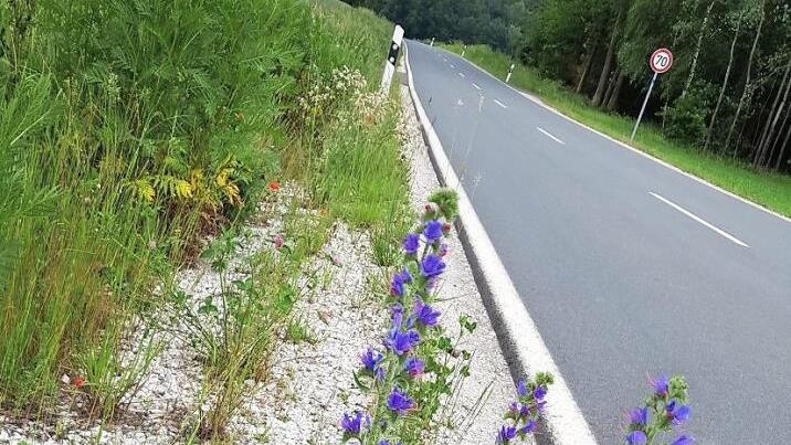 Wie schön Blühstreifen sein können, zeigt dieses Beispiel einer Straße bei Bammersdorf.  Fotos: Ekkehard Roepert
