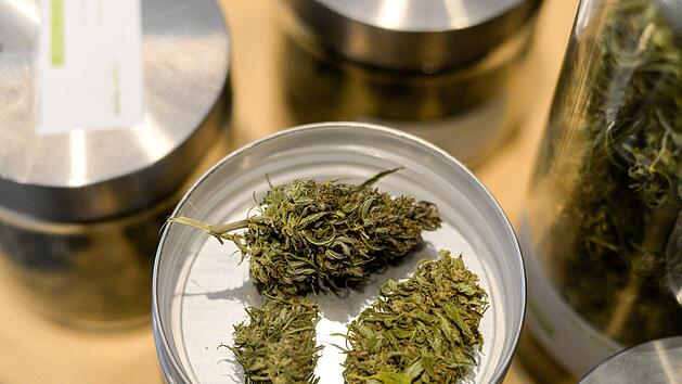 Medizinisches Cannabis wird bereits in verschiedenen Bereichen eingesetzt. Nun haben Forscher eine positive Wirkung bei der Behandlung von Bauchspeicheldr&uuml;senkrebs festgestellt. Symbolfoto: Jens Kalaene/dpa