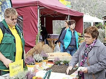 Mathilde Hutzl aus Kronach interessierte sich aufgrund ihrer Rückenprobleme für den Hochbeetbau. Sie möchte sich gemeinsam mit ihrem Mann ein Hochbeet bauen und stellte Susanne Benkenstein Fragen zur Schichtfüllung. Foto: Mariell Dörrschmidt