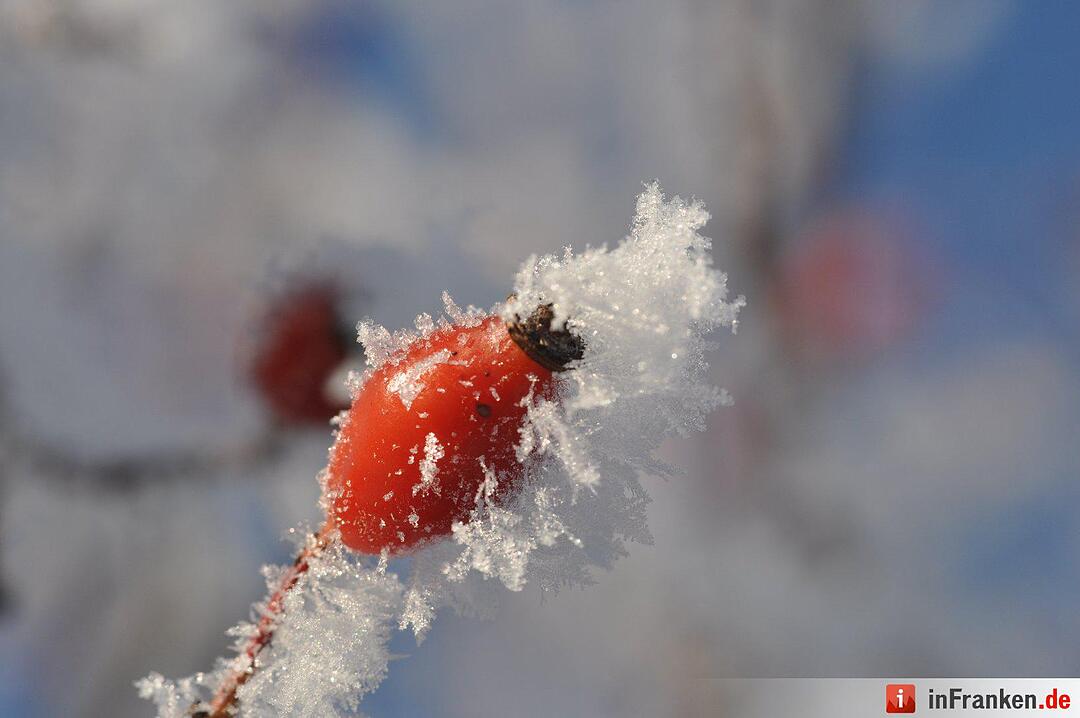 Eis und Schnee in Franken - die schönsten Winterleserfotos