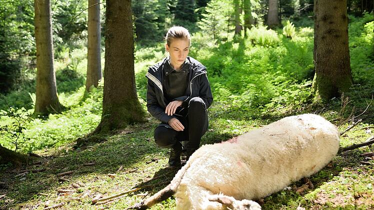 Im Wald findet Hannah Zeiler (Nora Waldst&auml;tten) ein totes Schaf.