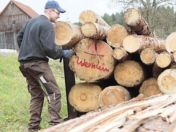 Christoph Wernlein von der Holzmühle begutachtet Stämme. Das Kürzel "WBV" zeigt: Es handelt sich um Holz von der Waldbesitzervereinigung, also aus Privatforst. Fotos: Jochen Nützel