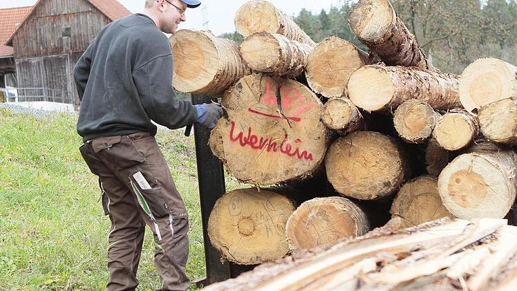 Christoph Wernlein von der Holzmühle begutachtet Stämme. Das Kürzel "WBV" zeigt: Es handelt sich um Holz von der Waldbesitzervereinigung, also aus Privatforst. Fotos: Jochen Nützel