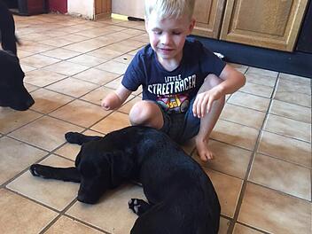 Vielleicht wird der Labrador Newton der Assistenzhund von Luca. Foto: Michaela Geisel