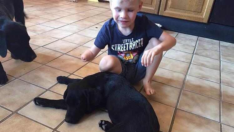 Vielleicht wird der Labrador Newton der Assistenzhund von Luca. Foto: Michaela Geisel