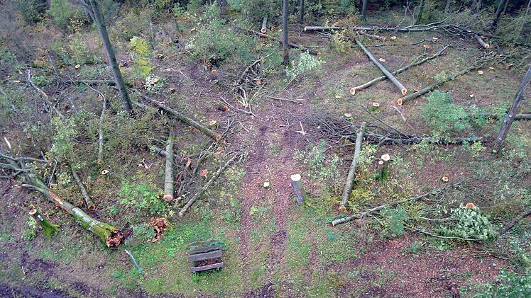 Das ist der Anblick vom Mottener Aussichtstum nach der Fällaktion - die 160 Jahre alten Buchenstämme werden in der hessischen Kernfläche liegengelassen. Foto: Stephanie Elm