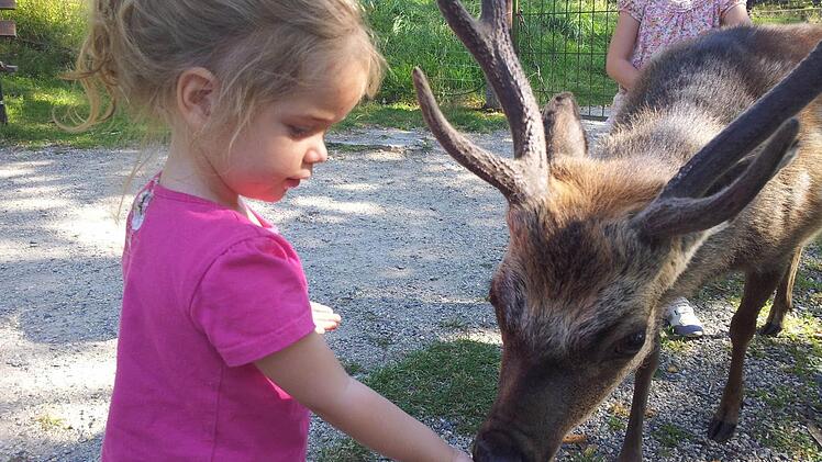 Aurora und Victoria, die beiden Enkeltöchter von Michael Busch, hatten viel Spaß beim gemeinsamen Ausflug in den Wildpark Tambach.