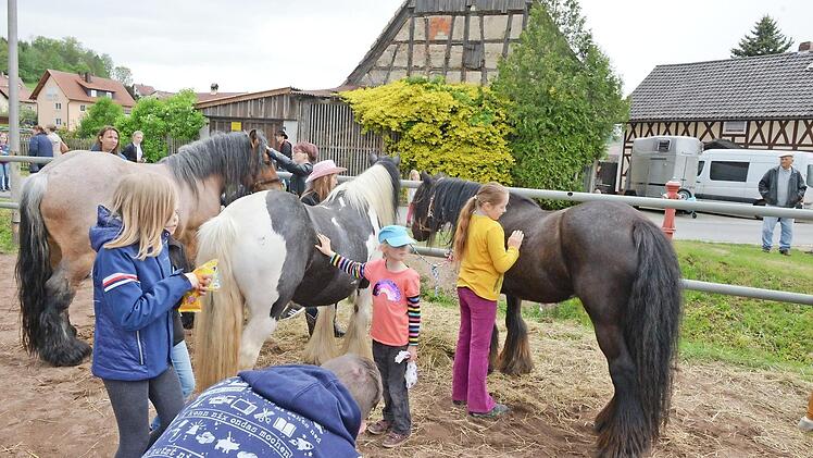um das Interesse der Besucher.