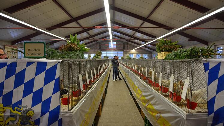 736 Zwerghühner sind am Wochenende in Nüdlingen ausgestellt worden. Foto: Peter Rauch