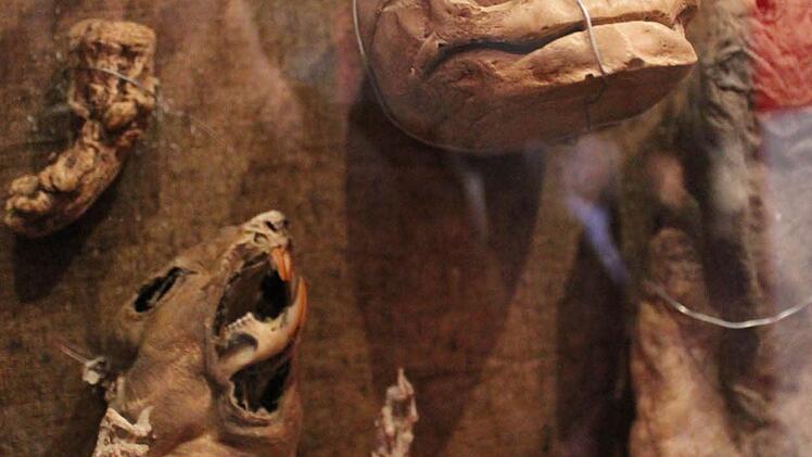 "Hexen, Werwölfe und Untote" in Kulmbach Foto: Jürgen Gärtner