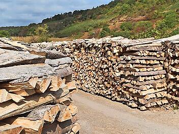 Das Holz wird nur an Ramsthaler abgegeben.
