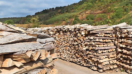 Das Holz wird nur an Ramsthaler abgegeben.