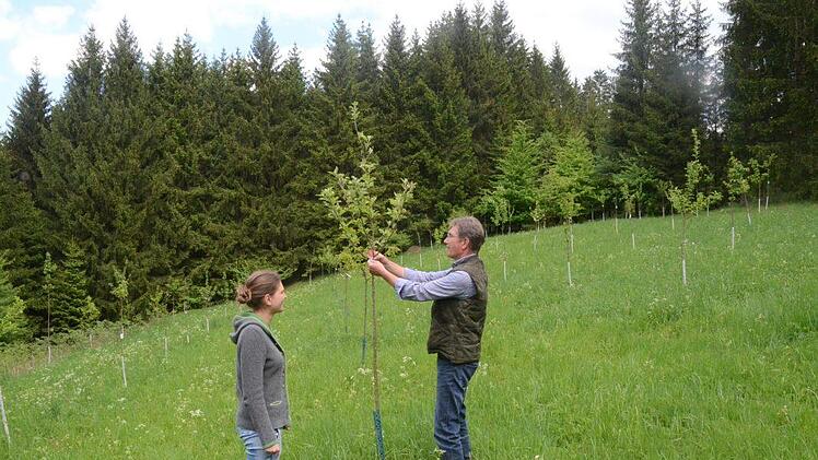 Christian und Christin Müller-Lisa sind passionierte Jäger und Waldbesitzer. Auf mehreren großen Flächen haben sie Obstbäume angepflanzt.  Foto: Karl-Heinz-Hofmann