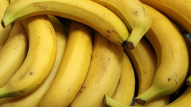 Gelbe Bananen mit leichten braunen Punkten enthalten sehr viel Fruchtzucker und gelten als gute Energielieferanten.