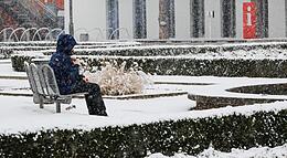 Vorschaubild