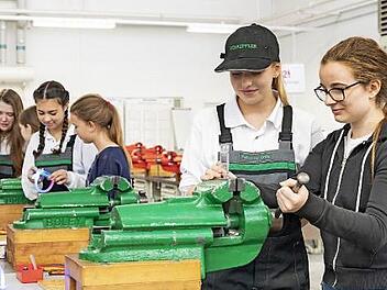 Die Hochschule für angewandte Wissenschaften in Schweinfurt lädt Schülerinnen in Kooperation mit der Firma Schaeffler zu Schnuppertagen für Mädchen ein.  Foto: Johannes Bräutigam