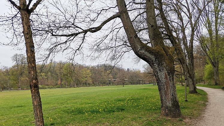 Giftköder-Warnung in Bamberg: "Mehrere Giftköder gefunden"