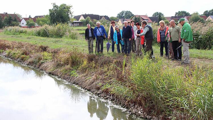Im Weihergebiet des Aischgrunds. Foto: Andreas Dorsch