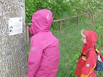 Durch Wiesen und Wälder - die Action Rallye erfordert Geschick und Spürsinn. Foto: privat
