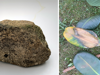 Roth: Nach vergl&uuml;htem Meteorit - Ehepaar aus Franken findet "ungew&ouml;hnlichen" Stein im Garten