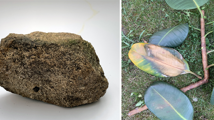 Roth: Nach vergl&uuml;htem Meteorit - Ehepaar aus Franken findet "ungew&ouml;hnlichen" Stein im Garten