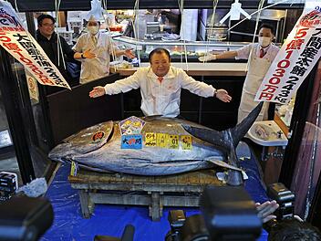 Erste Thunfischauktion des Jahres in Tokio