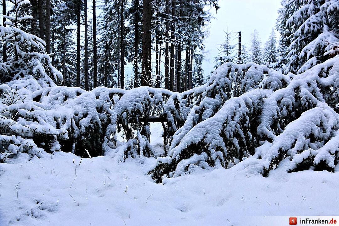 Schnee im Fichtelgebirge