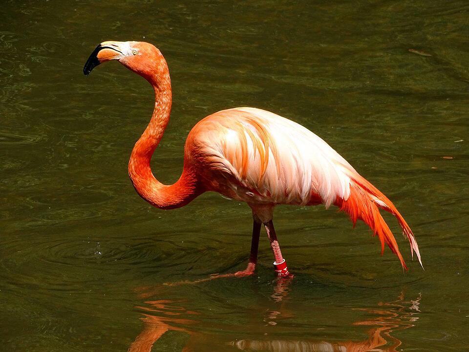 Tiergarten Nürnberg