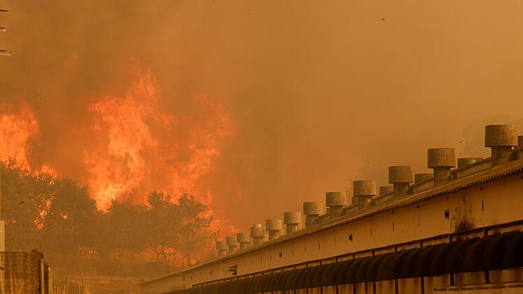 Waldbrände in Spanien