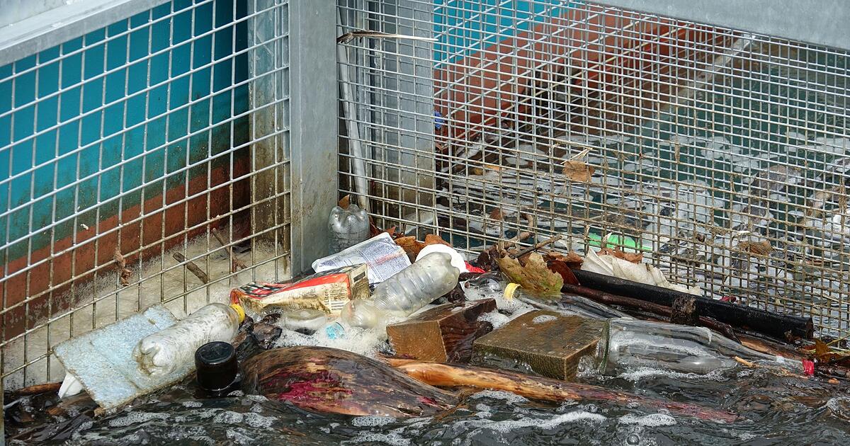 Untersuchung-Im-Rhein-treibt-viel-mehr-M-ll-als-gedacht