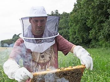 "Alles bestens": Imker Michael Dietz kontrolliert die Waben seiner Bienenstöcke auf dem Wildacker. Foto: Adriane Lochner