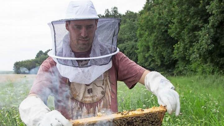 "Alles bestens": Imker Michael Dietz kontrolliert die Waben seiner Bienenstöcke auf dem Wildacker. Foto: Adriane Lochner