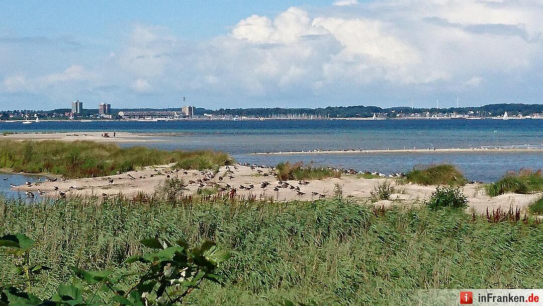 Kieler Förde