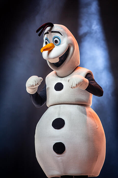 Märchenhafte Magie für alle Elsa, Anna und Olaf Fans!
