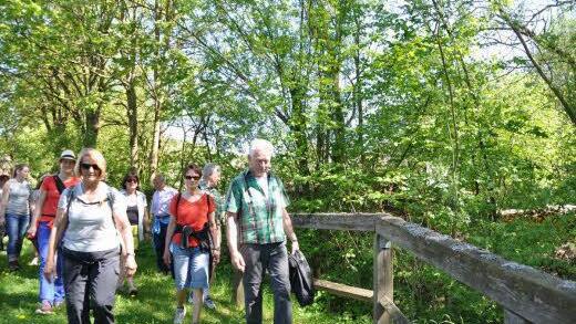 Entlang des Wollenbaches ging es f&uuml;r die Wandergruppe aus Stadtlauringen durch Hausen. Foto: Steger-Fr&uuml;hwacht