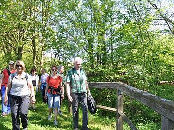 Entlang des Wollenbaches ging es für die Wandergruppe aus Stadtlauringen durch Hausen. Foto: Steger-Frühwacht