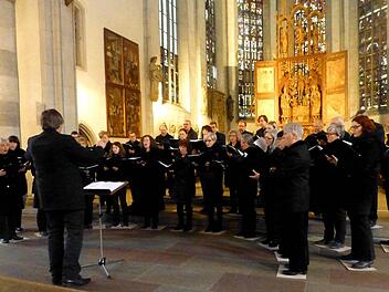 Peter Rottmann mit seinem "Ensemble Vokal" beim Chor- und Orgelkonzert in der Stadtpfarrkirche S. Maria Magdalena. Foto: Gerhild Ahnert